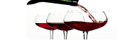 Certificazione esportazione vini